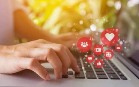 durée de vie moyenne d'une publication