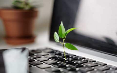 Création de site internet éco responsable