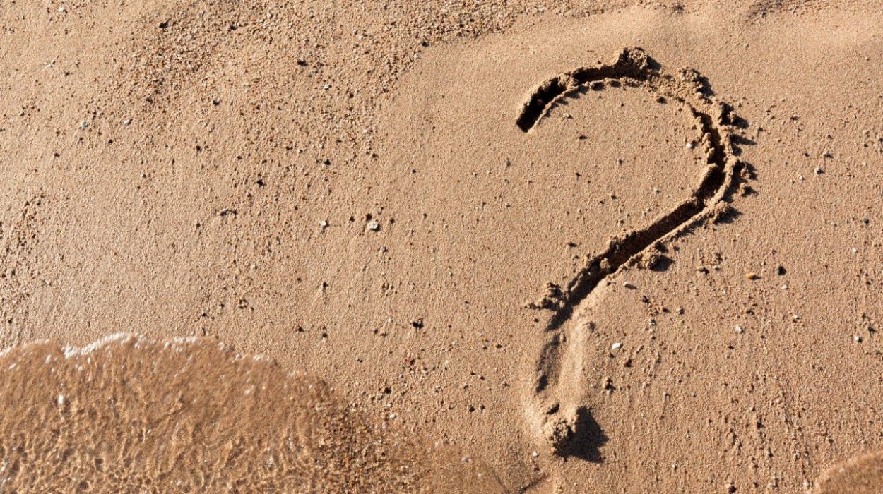 SEO vs SEA : quelle stratégie pour une entreprise à Tours