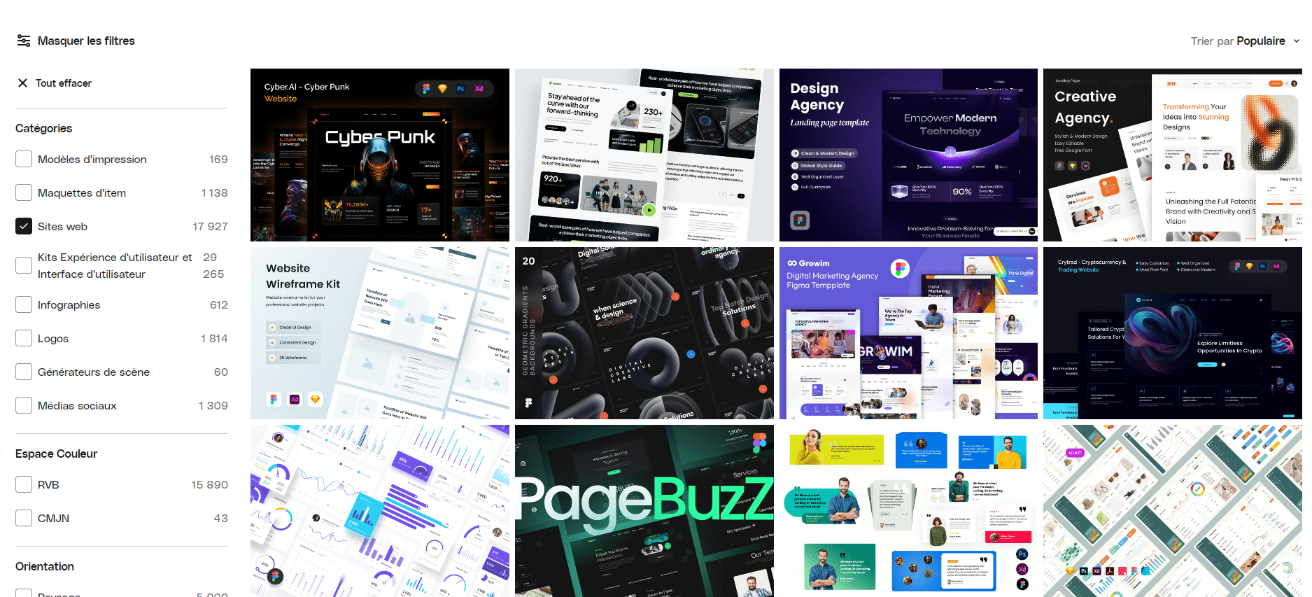 template - prix d'un site internet WordPress