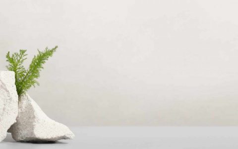 Vignette article site internet éco-responsable