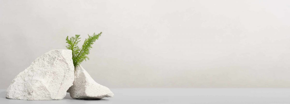 Vignette article site internet éco-responsable