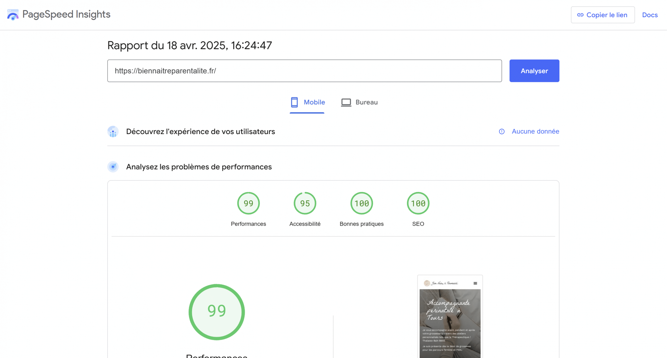 Google Page Insights exemple