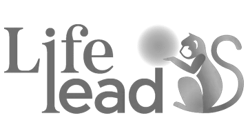 life_lead_carroussel